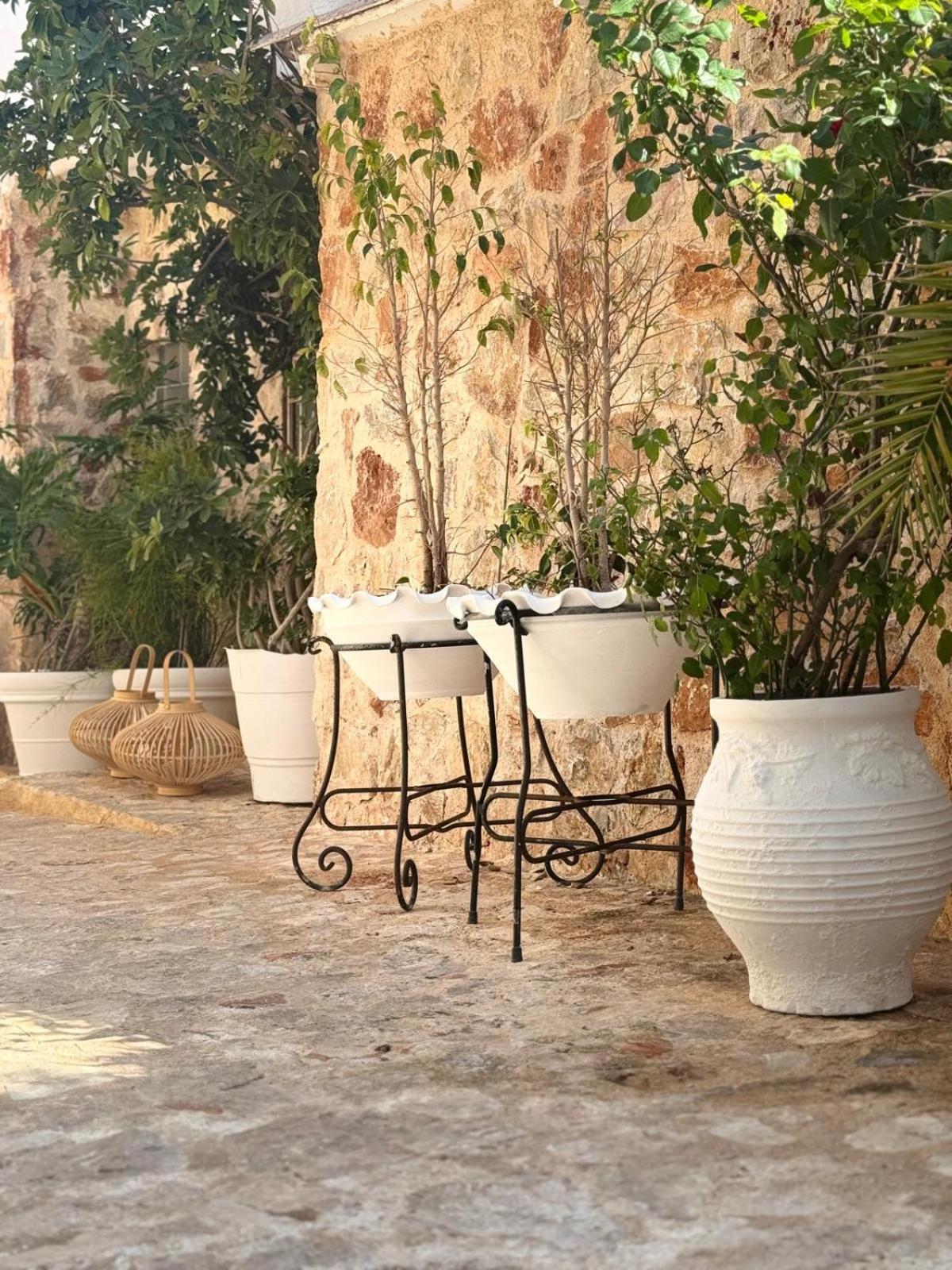 Pallas Seaside 1 Athens Exterior photo